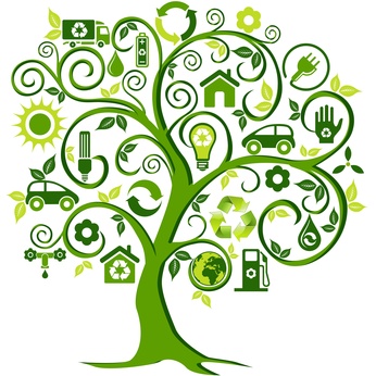 Why Go Green? | Green Organic Devotion